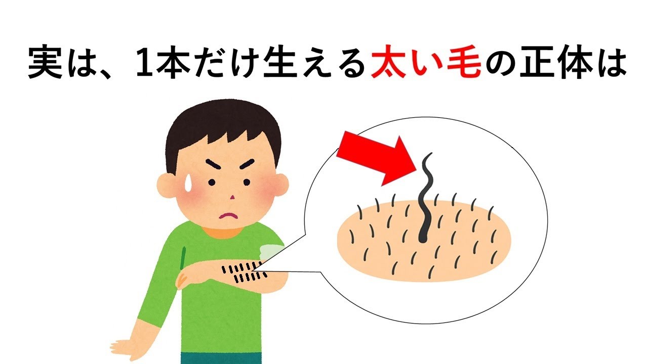 実は、1本だけ生える太い毛の正体は【体毛の雑学⑪】
