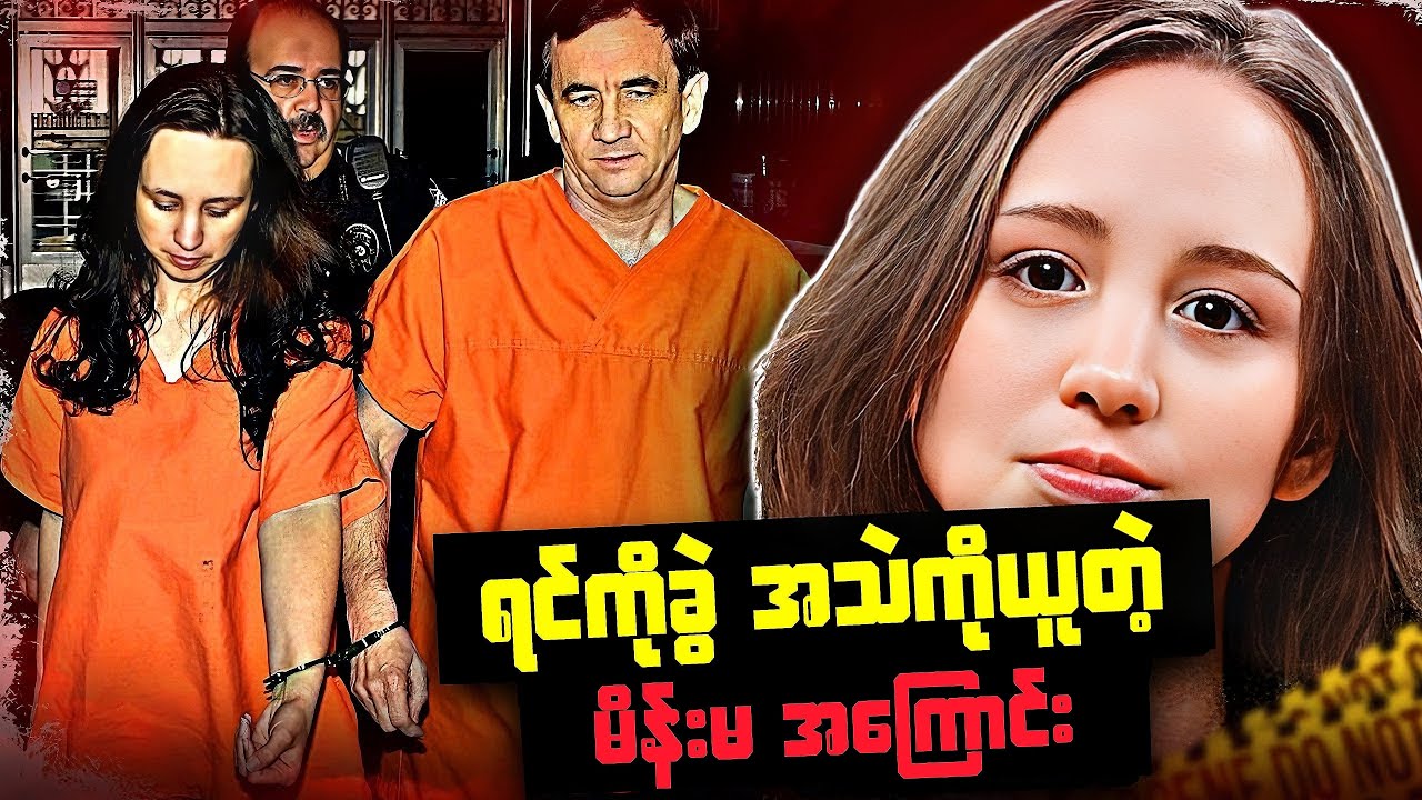 Who is the culprit in this crime story?