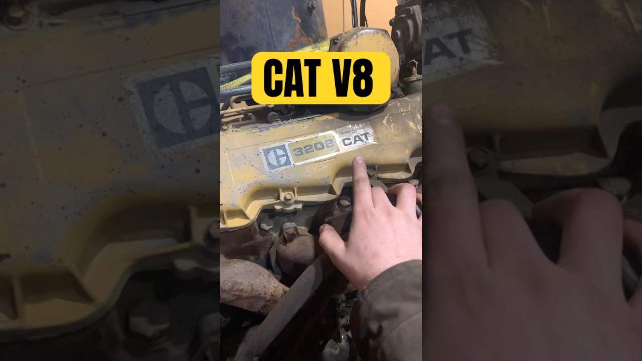 Another CAT swapped F350