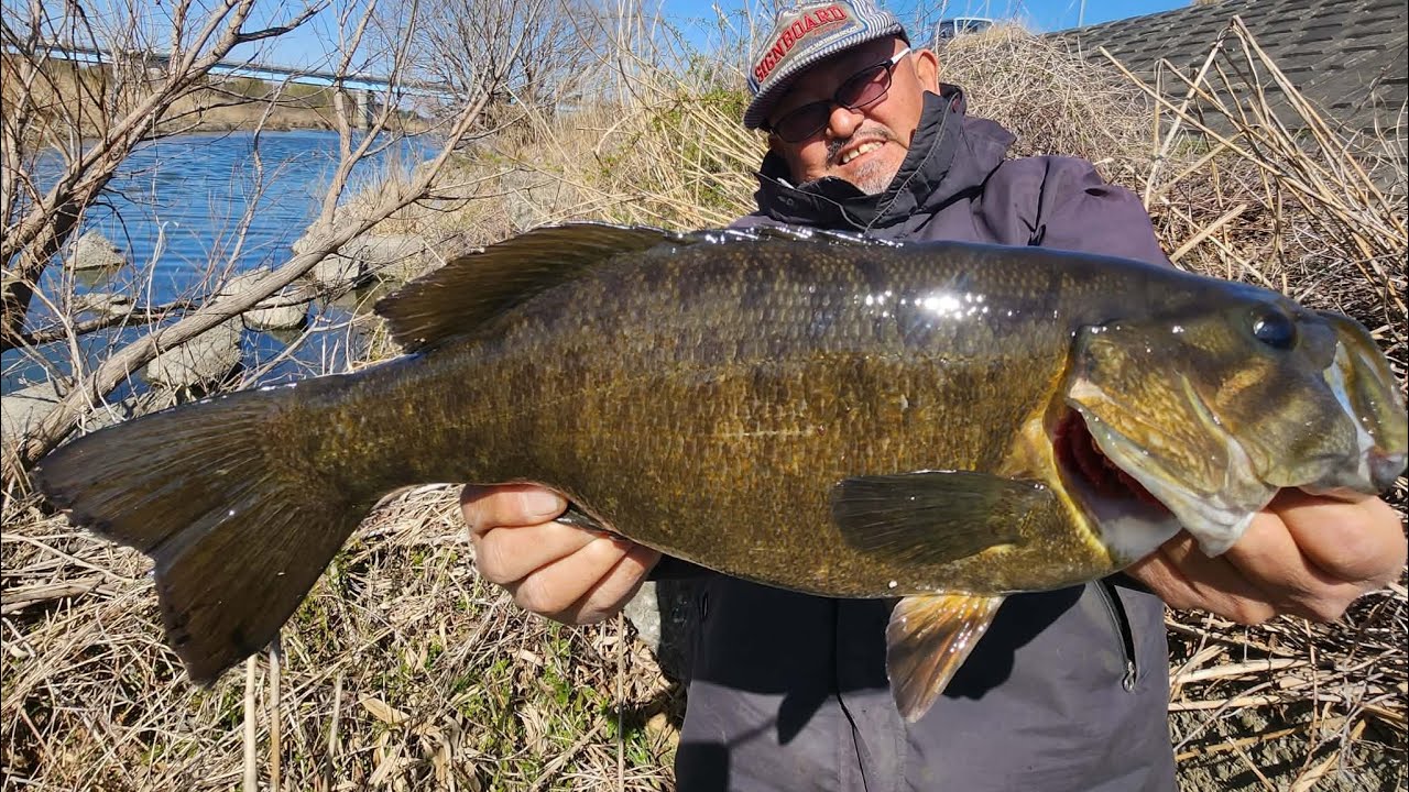 48cm入間川スモールマウスバスフィシング🎣