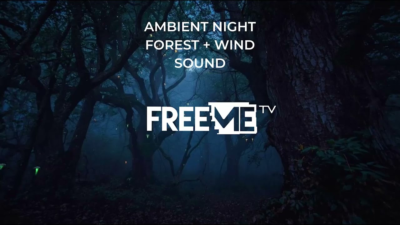Deep Forest Wind (Crickets & Rustling Leaves) - 1 Hours Nature Sleep Sound