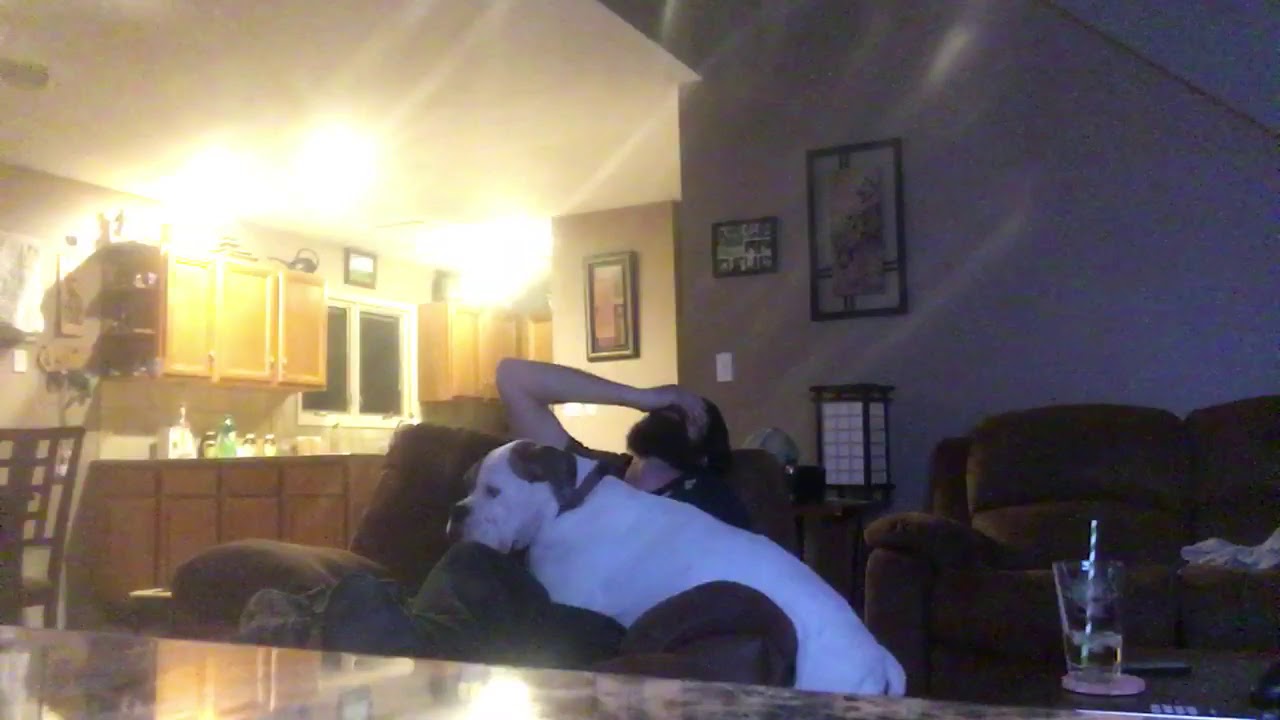 Hit of salvia 10x