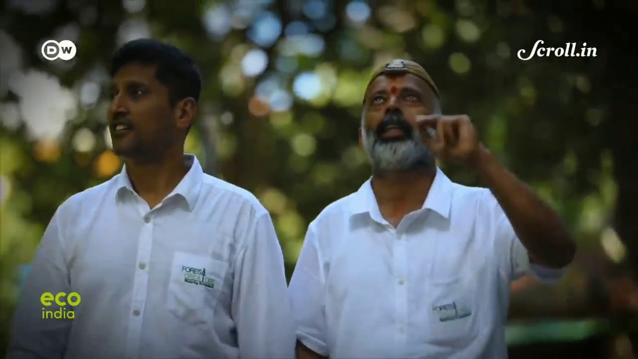 About Forest Creators & Miyawaki Forest in Colaba Mumbai.