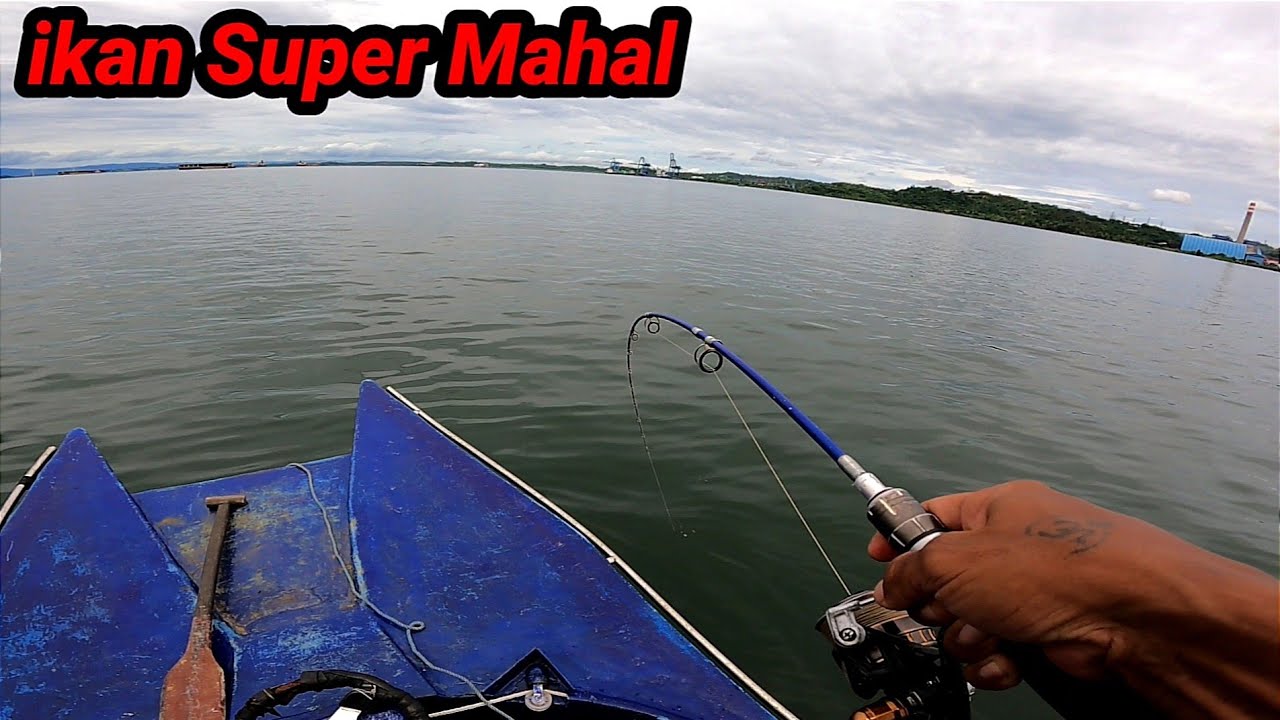Luar Biasa Rejeki Hari ini, Tidak Di Sangka Dapat Jackpot ikan Super Mahal
