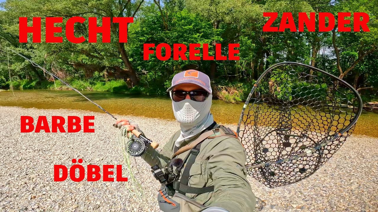 Fliegenfischen auf Hecht Zander Bachforelle Barbe Döbel