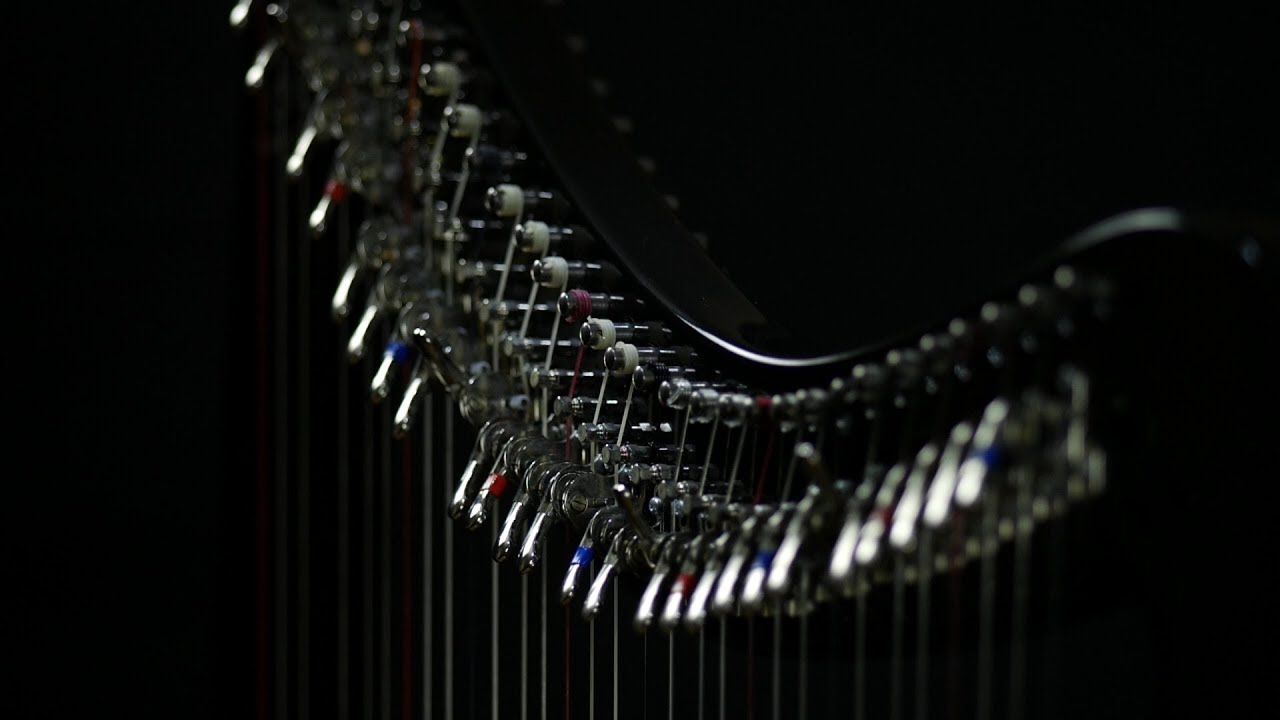 Struggle for Pleasure - Wim Mertens - Harp Cover