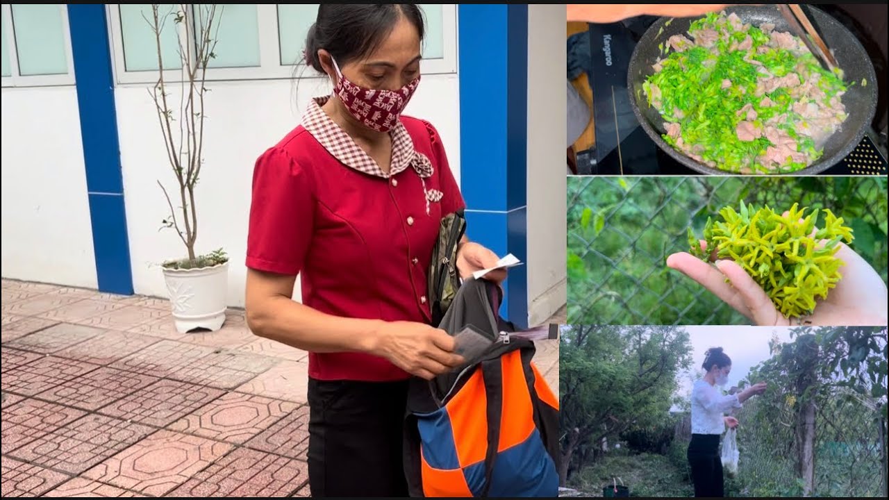Đưa Bố Mẹ San Đi Khám Bệnh, Trước Khi Về Lại Trung Quốc, Hái Hoa Thiên Lý Xào 