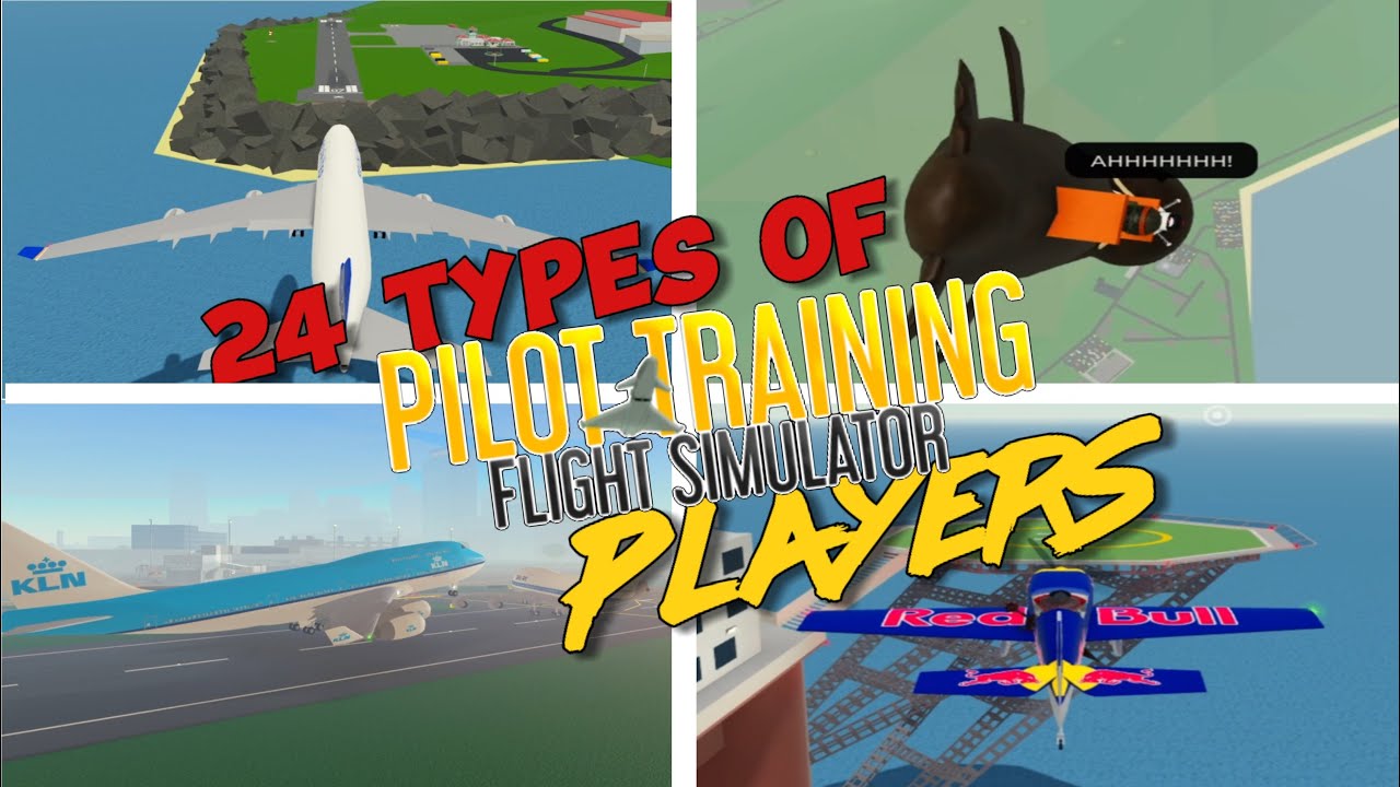 24 Types of PTFS PLAYERS✈️ | Roblox