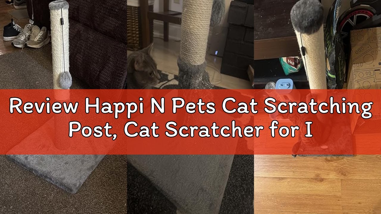 Review Happi N Pets Cat Scratching Post, Cat Scratcher for Indoor Cats, Sisal Scratching Post & Carp