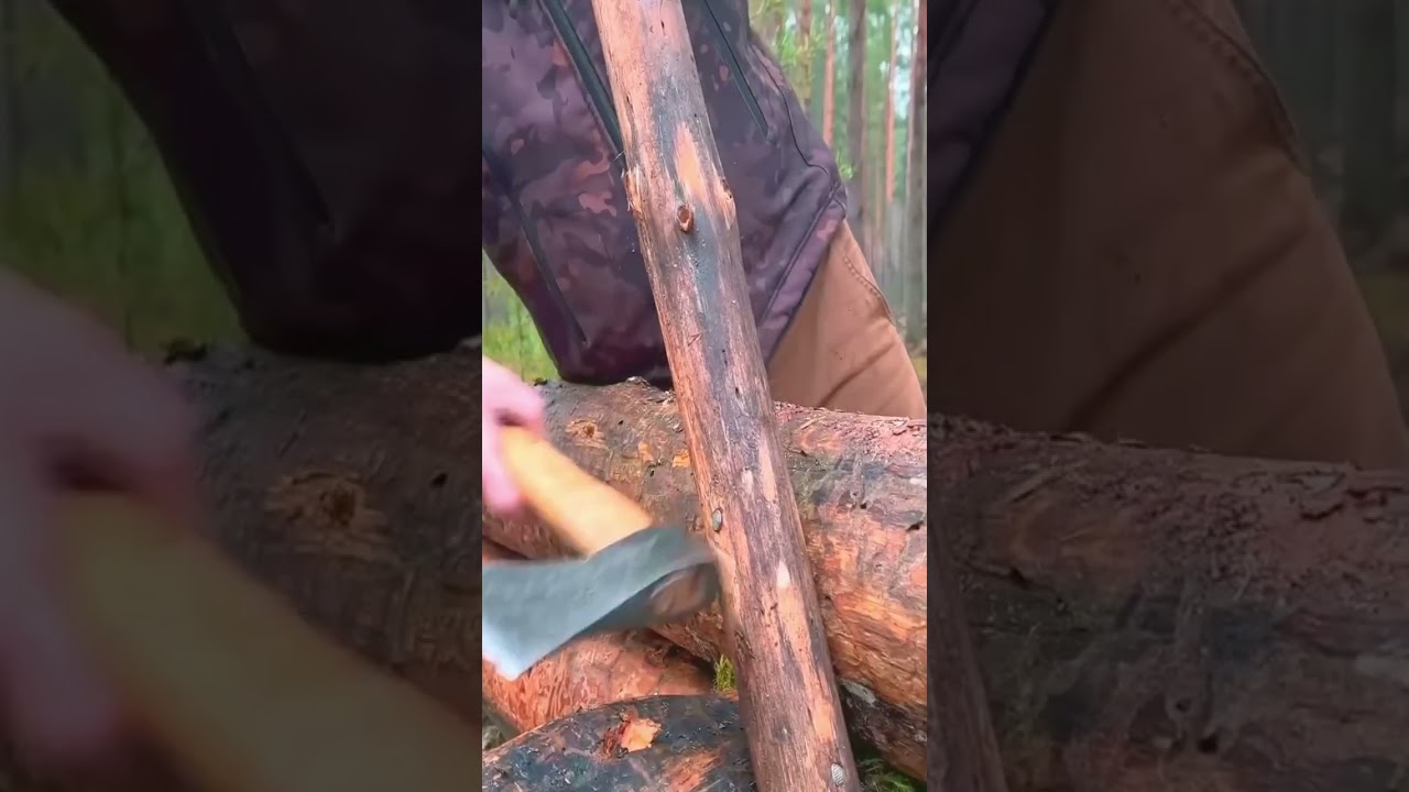 ASMR BUILD A WARM LOG CABIN IN 24 HOURS - Survival Bushcraft.