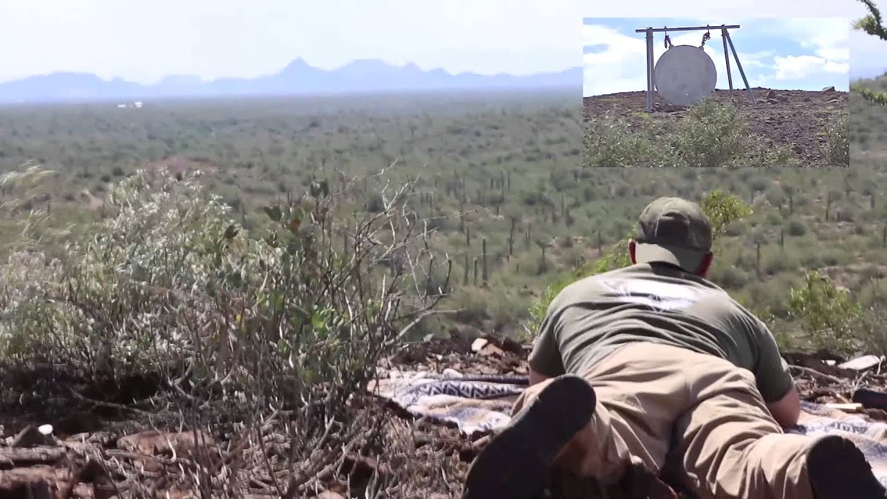 AR50A1 - 1000 Yards - First Shots