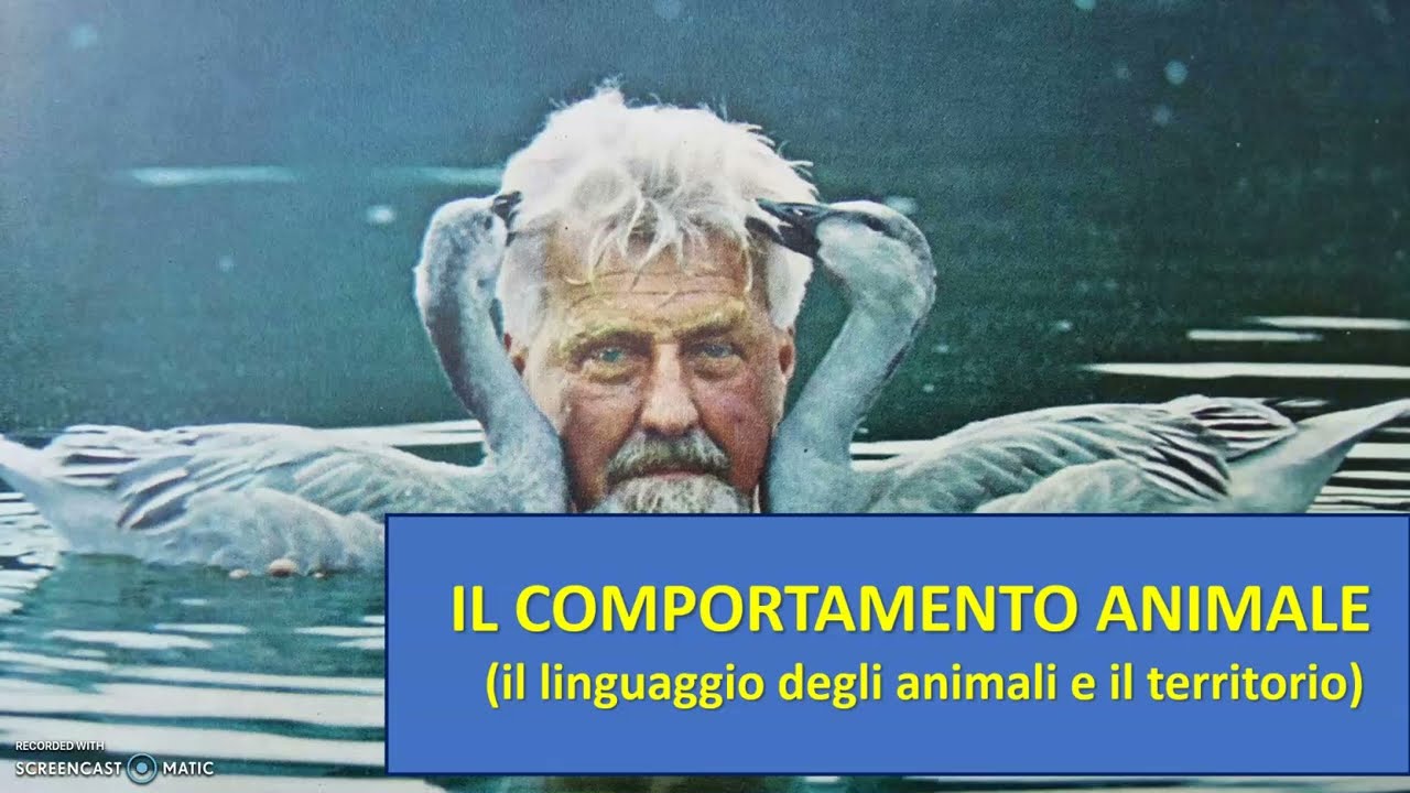 Etologia: Comunicazione tra animali