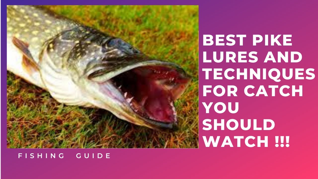 BEST PIKE LURES AND TECHNIQUES - EN İYİ TURNA SAHTELERİ VE YEMLERİ - HOW TO CATCH PIKE