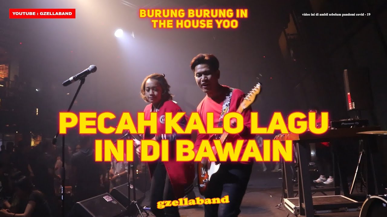 #LIVEMUSIC BURUNG BURUNG IN THE HOUSE - AUTO JOGET KALO LAGU INI DI BAWAIN !!! HOLYWINGS ASIK !