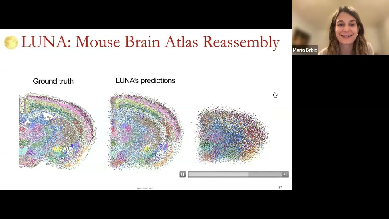 IICD Seminar Series: Maria Brbic, EPFL