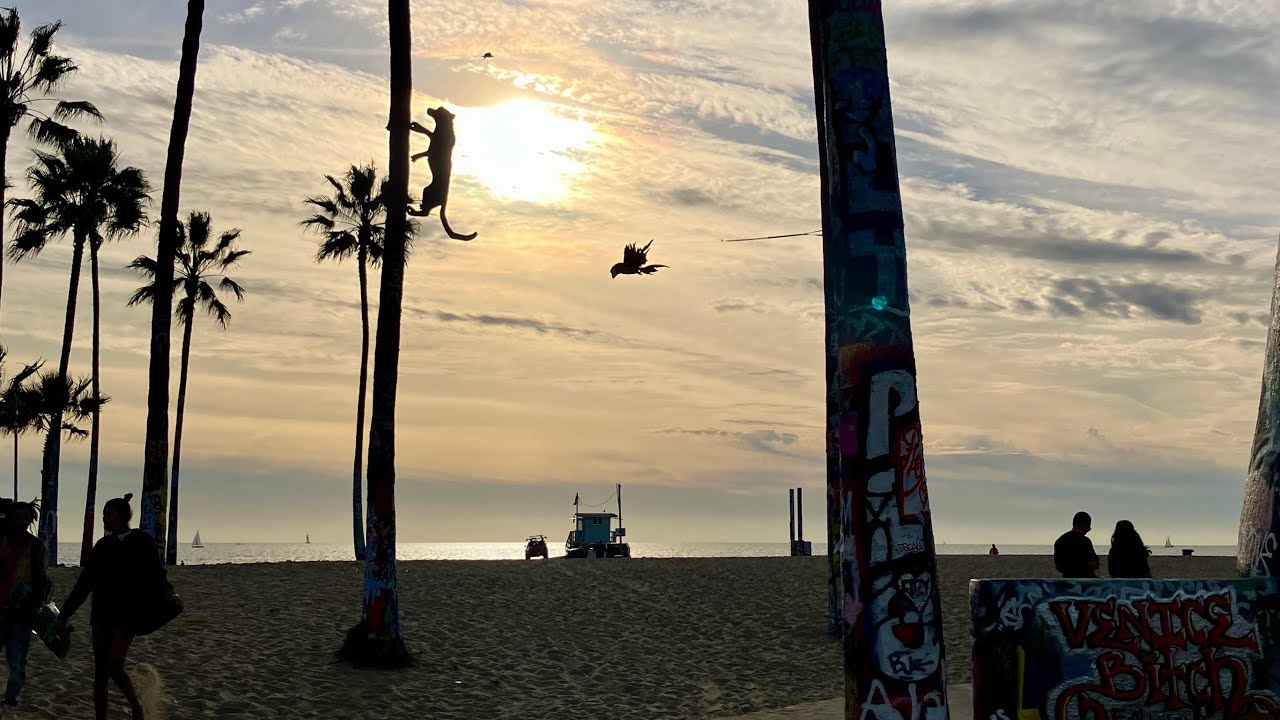 LA, CA. Scenes From The Memory. Jan 25, 2026.