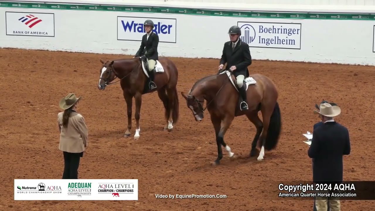Working Hunter Under Saddle - 2024 AQHA World Championship Show
