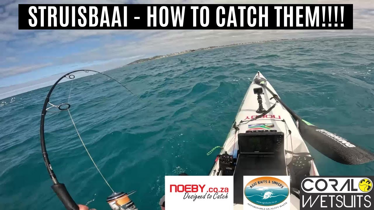 Struisbaai - How to catch them!!!