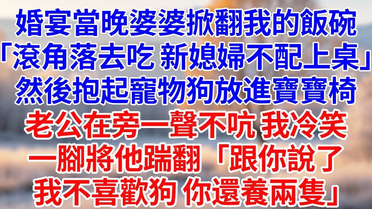 婚宴當晚，婆婆掀翻我的飯碗：「滾角落去吃，新媳婦不配上桌。」接著抱起寵物狗放進寶寶椅。老公在旁一聲不吭，我冷笑，一腳將他踹翻在地。「跟你說了我不喜歡狗， 你還養兩隻。」