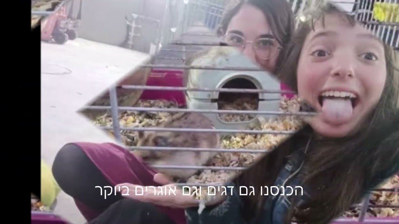 אולפנת שבות-קליפ אולפיזמון מחזור_ג'.