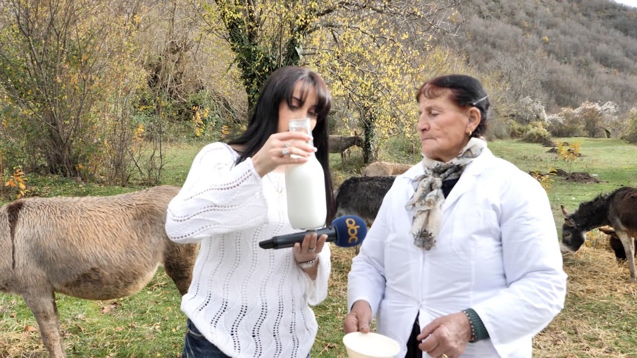 1500 euro një kg!!! Si të bëheni milioner me qumësht, jua tregon Artani!