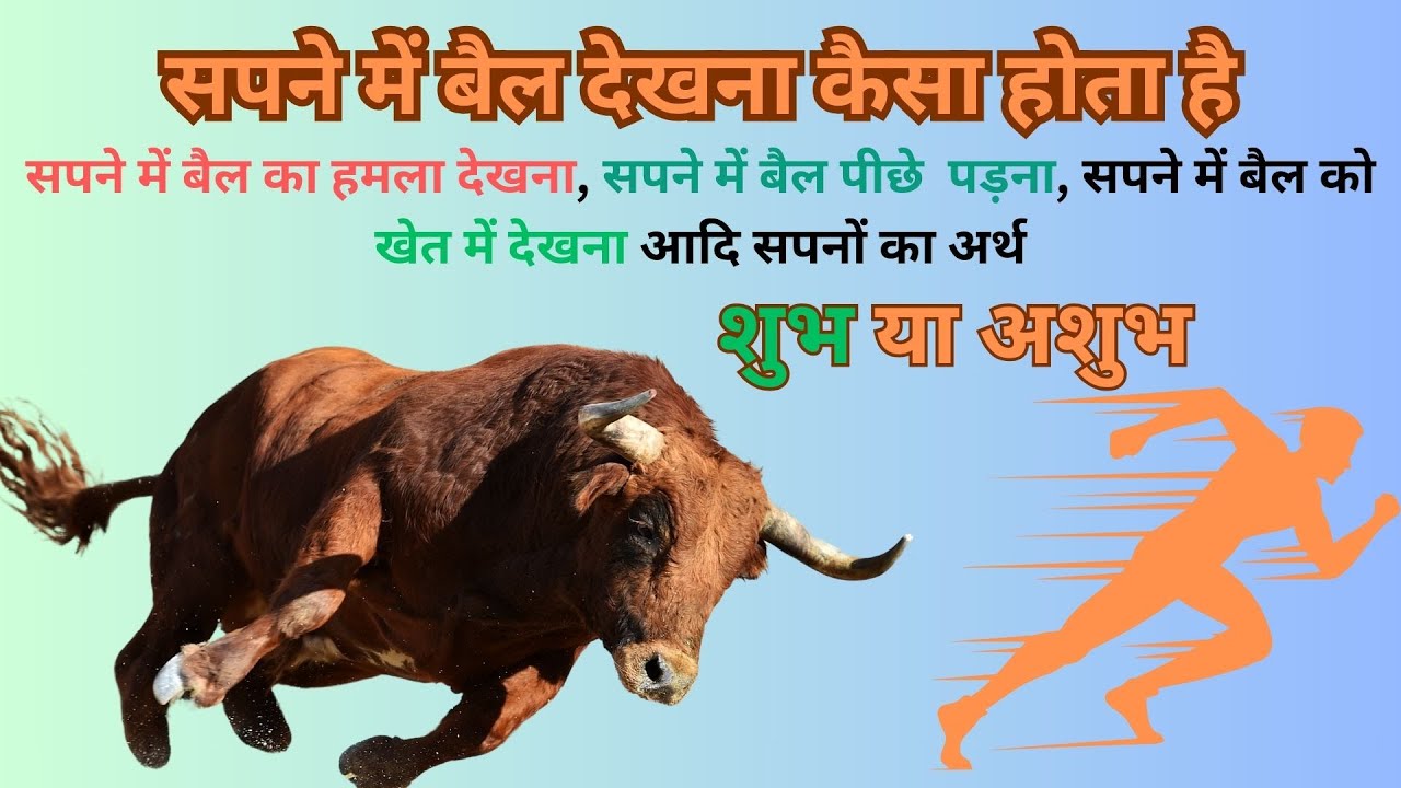 सपने में बैल देखना कैसा होता है 🐂swapan  में बैल पीछे पड़ना हमला करना,बैल गाड़ी देखना का सही मतलब ✅🙏🏻