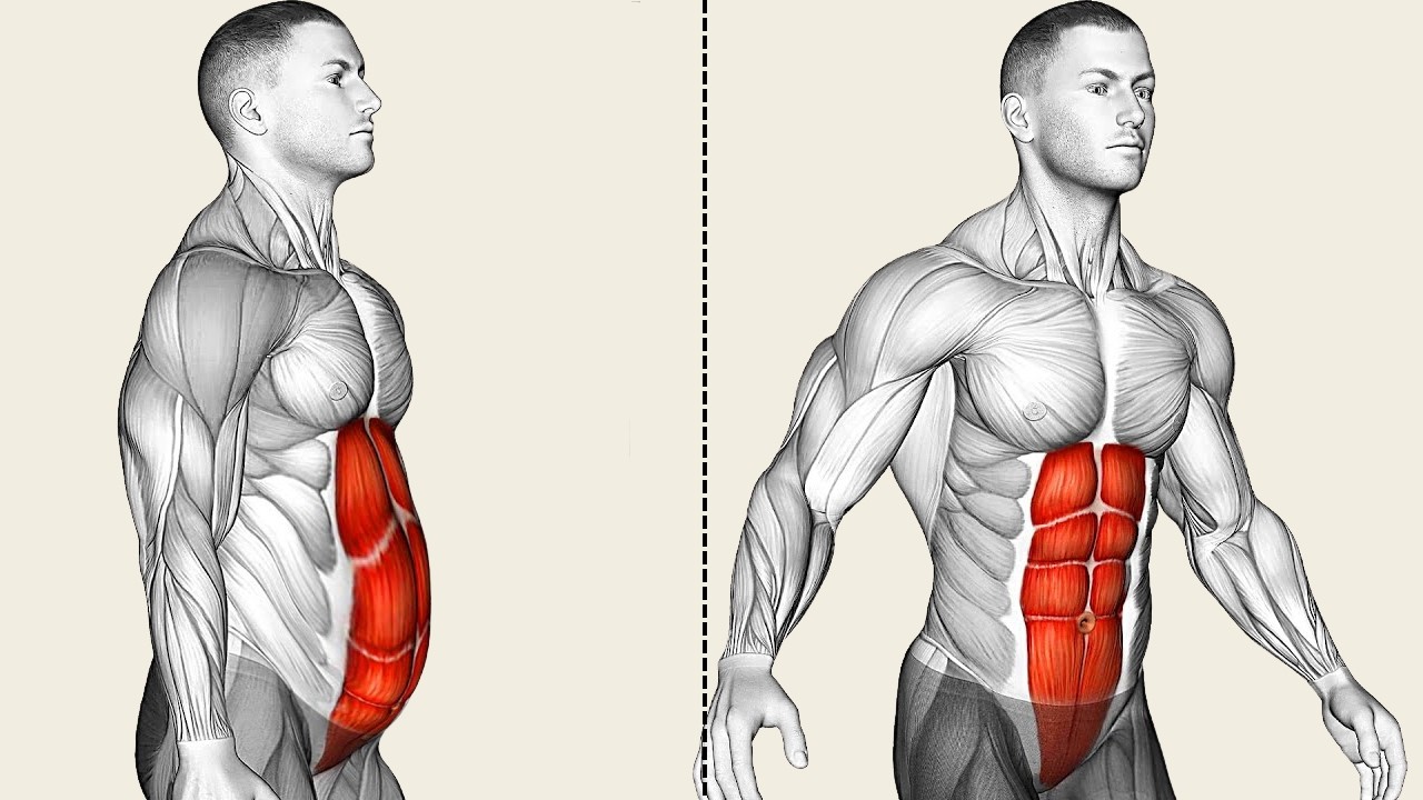 Low Impact Abs Workout At Home for Beginners (15 Minutes)