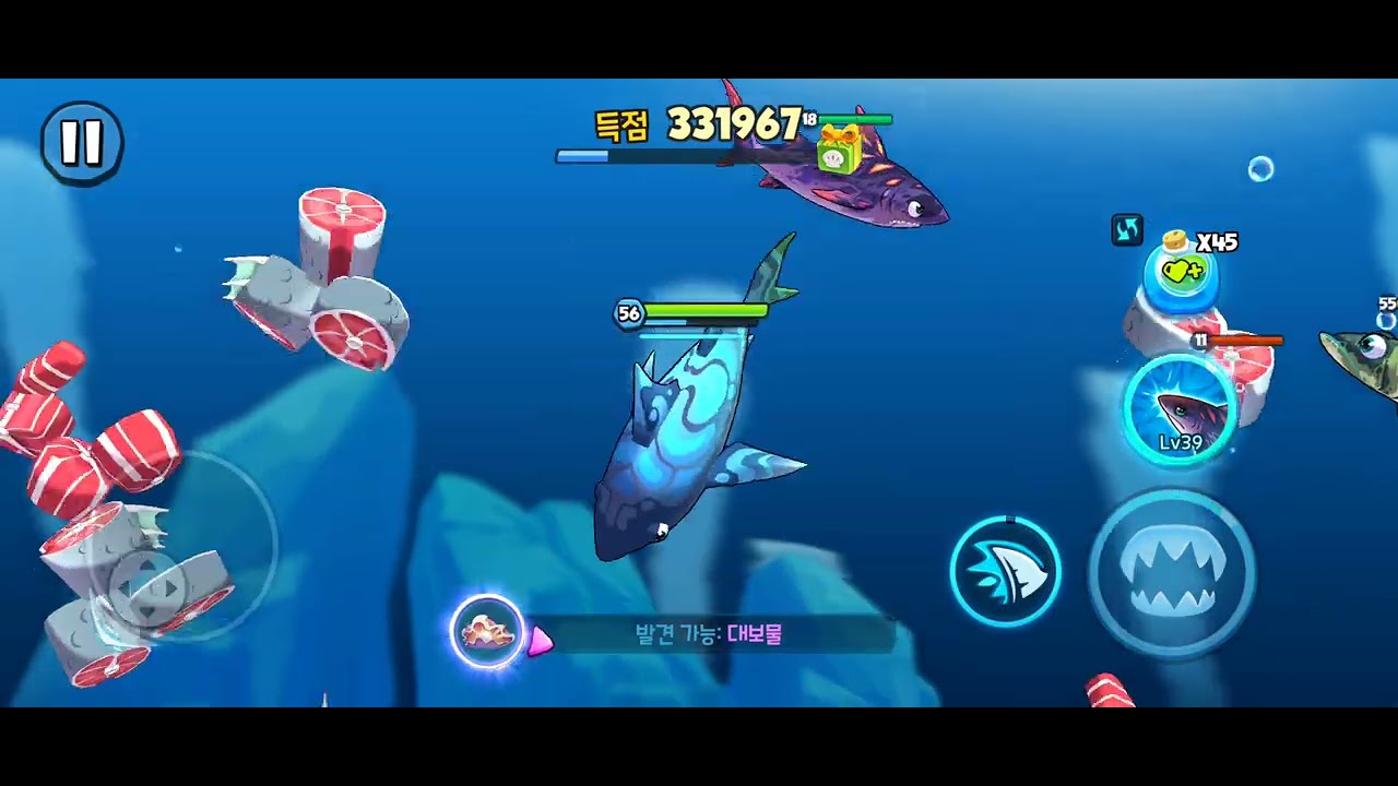 뻐끔뻐끔배틀 Fish Eat Fish 구독자요청 (아라비아해 황소상어)