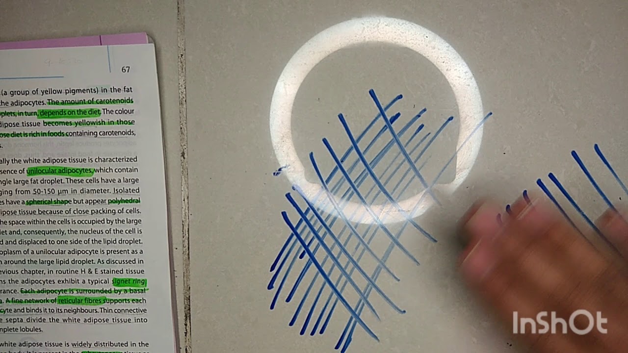 Histology of connective tissue proper | loose and dense connective tissue| classfcation