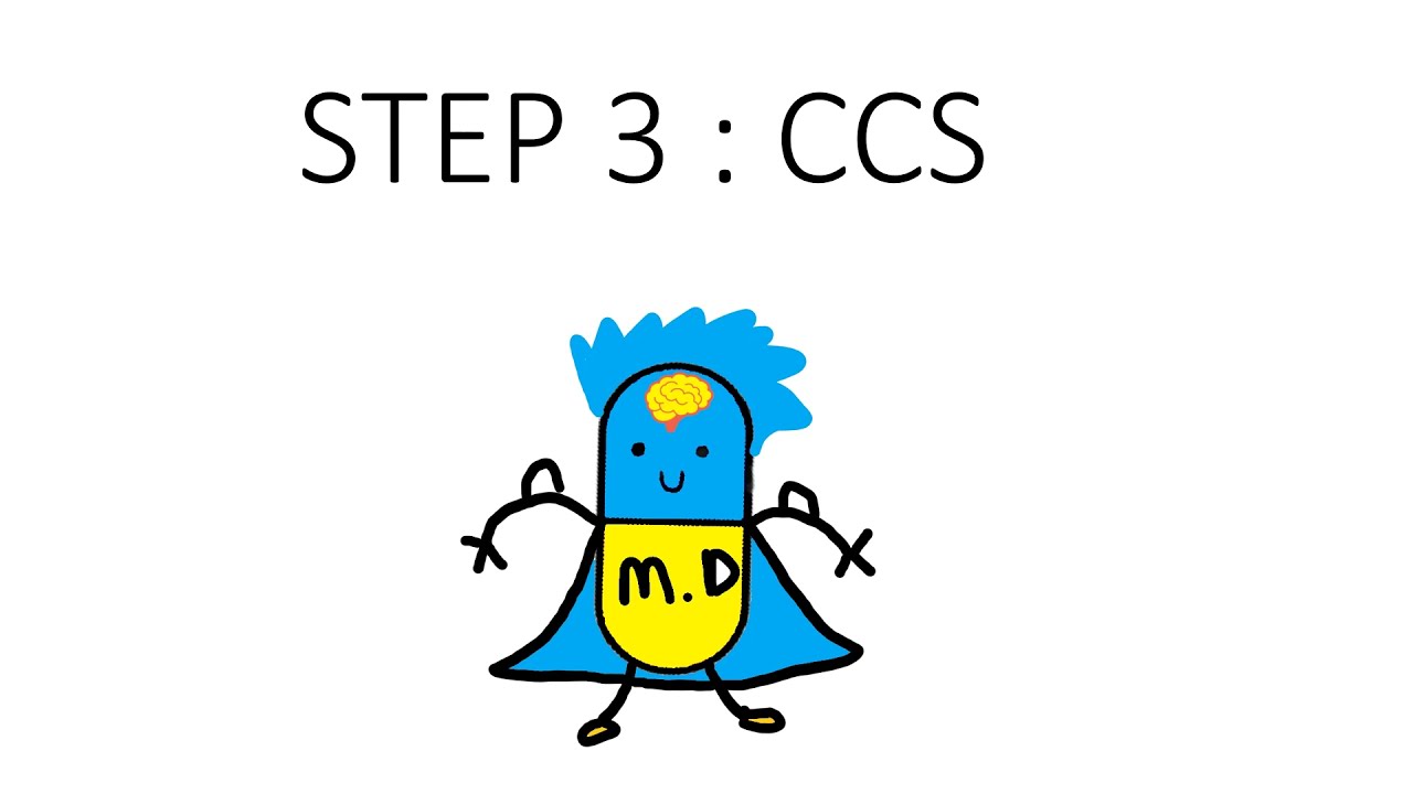 ШАГ 3 Обзор CCS + кейсы