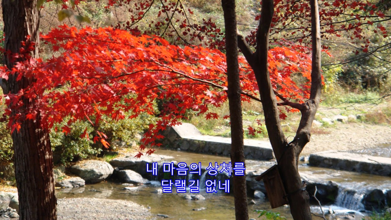 옛 이야기 - 최희준:  서울 대공원 2011년 11월 5일