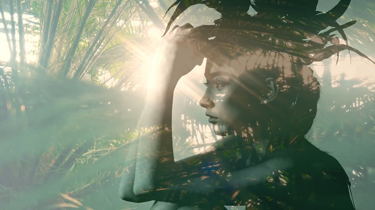 Esteban Miranda -  Amazonia