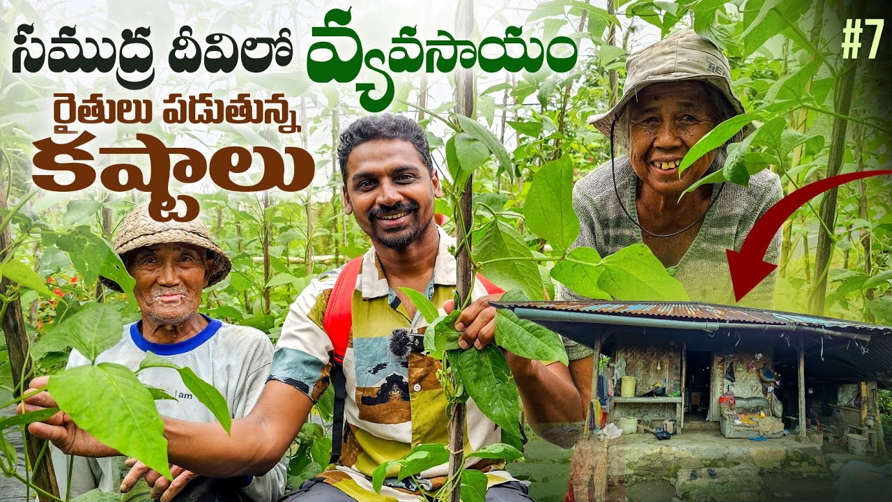 Village Life And Farming | Bali Indonesia 🇮🇩 | Uma Telugu Traveller
