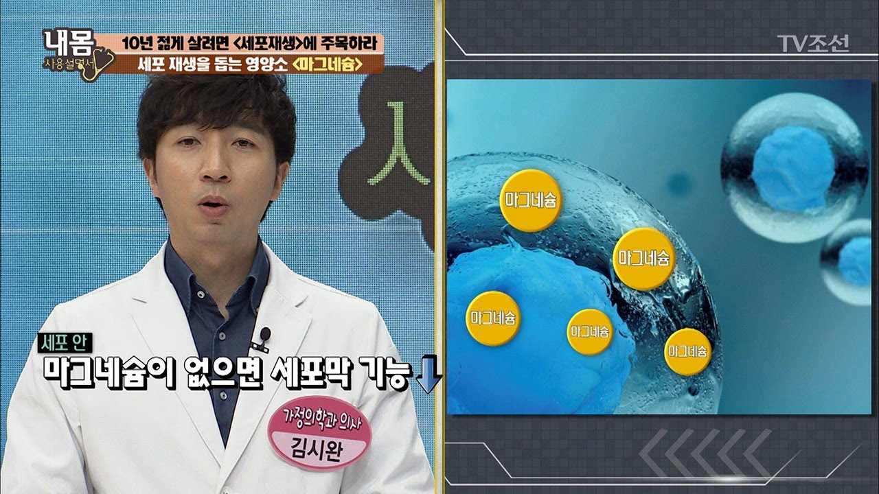 세포 재생을 돕는 &lsquo;마그네슘&rsquo;의 중요성! [내 몸 사용설명서] 158회 20170623