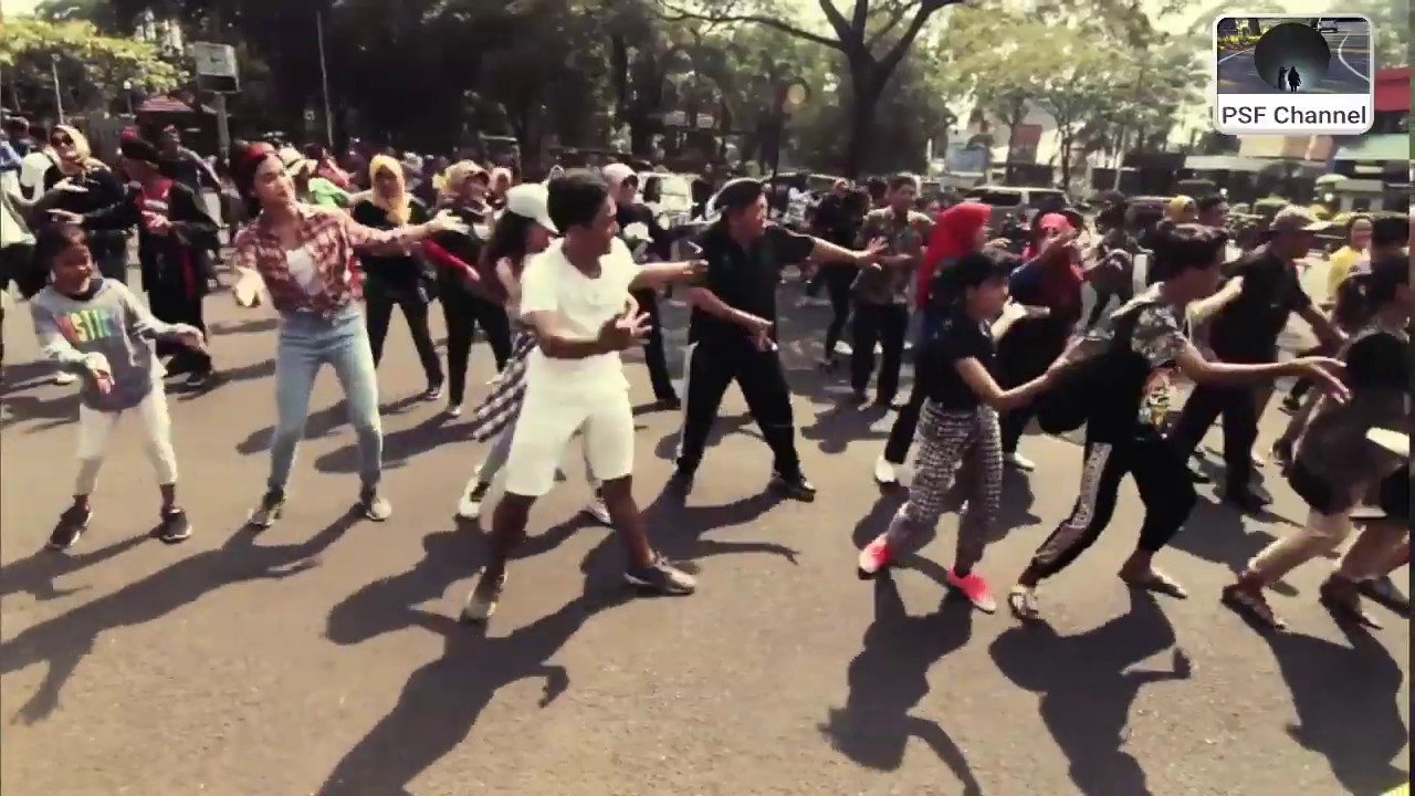 Flashmob Gugur Gunung bareng mas Koko Tole Dkk di TMII  ( versi lengkap )