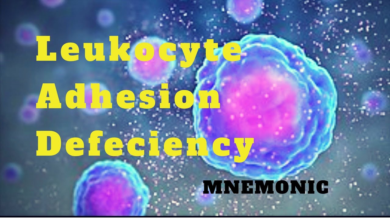 Leukocyte Adhesion Defeciency Mnemonic