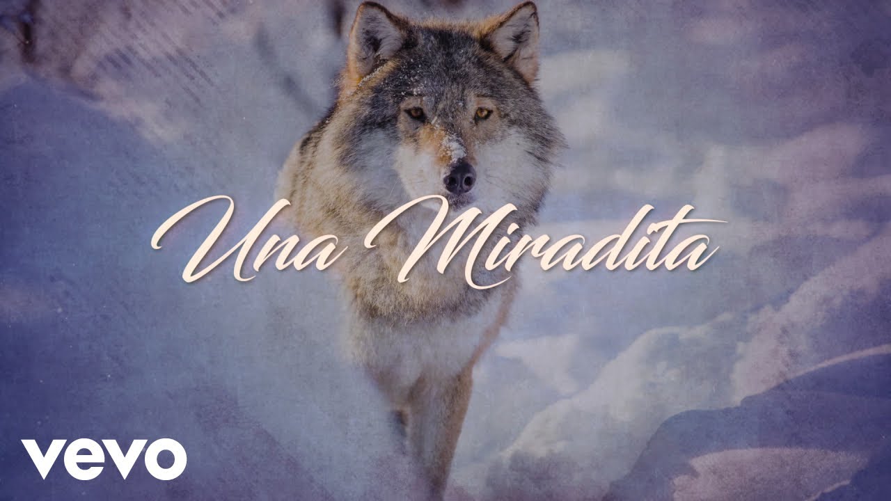 Los Temerarios - Una Miradita (LETRA)