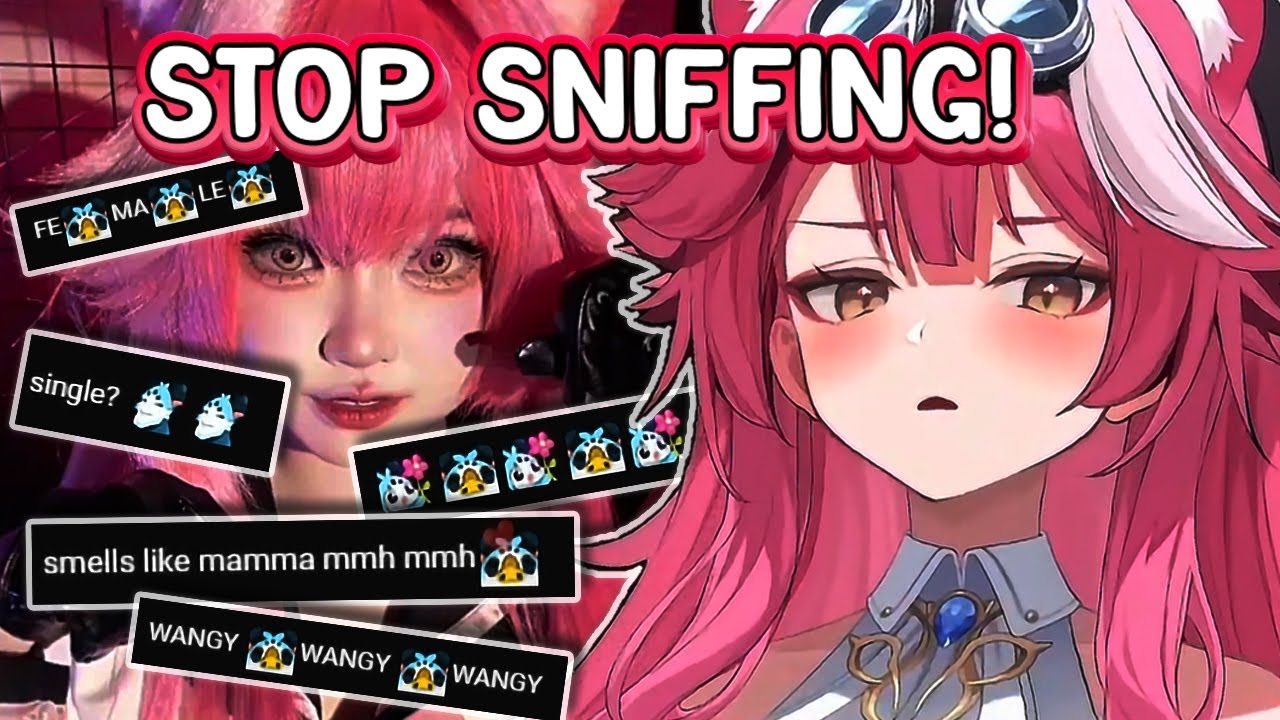 𝙘𝙝𝙖𝙩 𝙖𝙗𝙨𝙤𝙡𝙪𝙩𝙚𝙡𝙮 𝙡̶𝙞̶𝙩̶𝙩̶𝙡̶𝙚̶ 𝙙𝙚𝙜𝙚𝙣𝙚𝙧𝙖𝙩𝙚 𝙬𝙝𝙚𝙣 𝙍𝙖𝙤𝙧𝙖'𝙨 𝙘𝙤𝙨𝙥𝙡𝙖𝙮𝙚𝙧 𝙧𝙖𝙞𝙙 𝙩𝙤 𝙩𝙝𝙚 𝙨𝙩𝙧𝙚𝙖𝙢