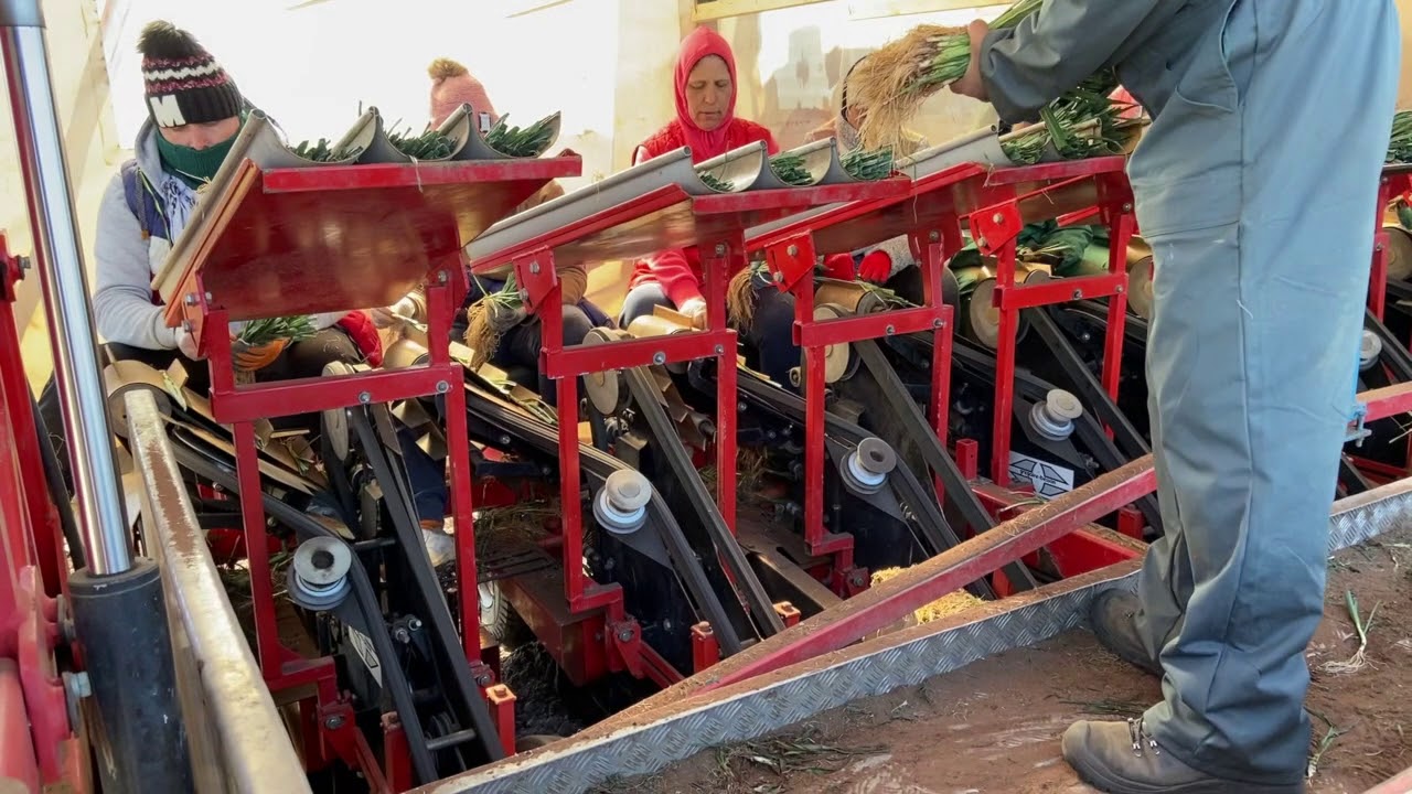 Gregoir Besson leek planting machine with 9 rows