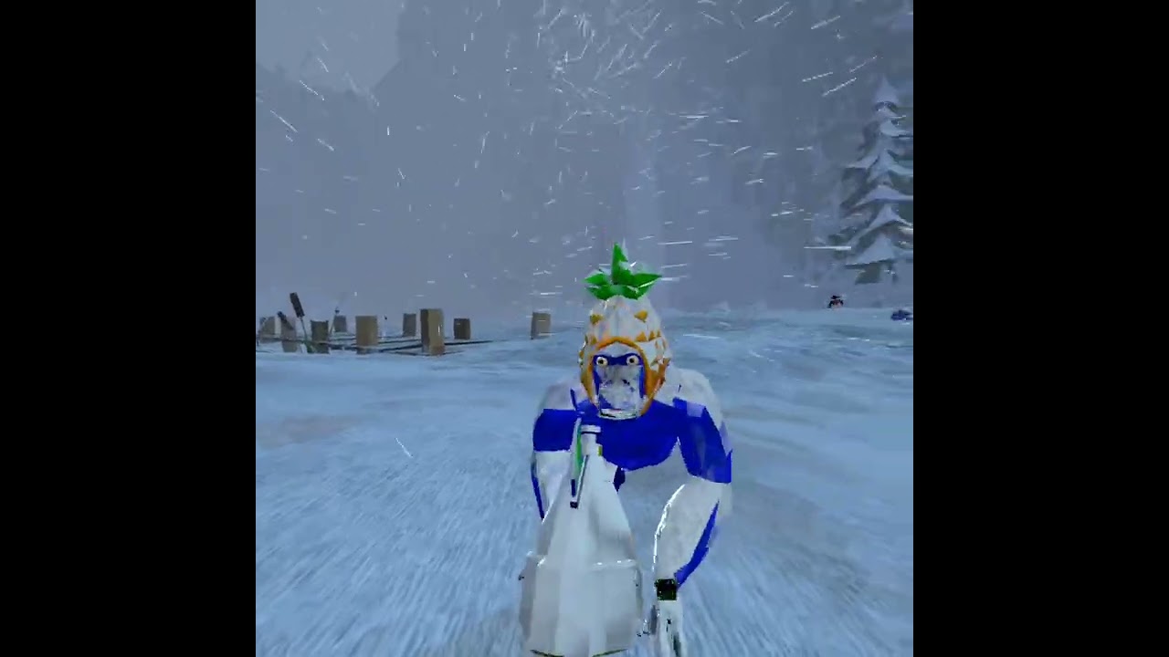 I did squid games in animal company