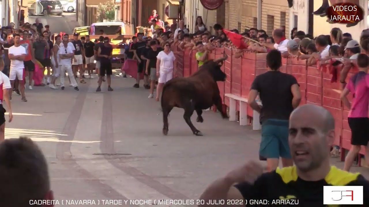 CADREITA ( NAVARRA ) VACAS CALLE TARDE Y NOCHE ( MIÉRCOLES 20 JULIO 2022 ) ARRIAZU