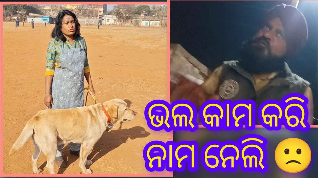 Dog ମାଲିକ