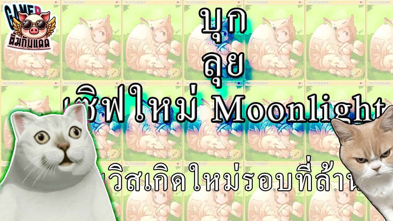 เกมเมอร์สร้างตัว : Ragnarok Classic : Server Moonlight  ฟามหน่อย