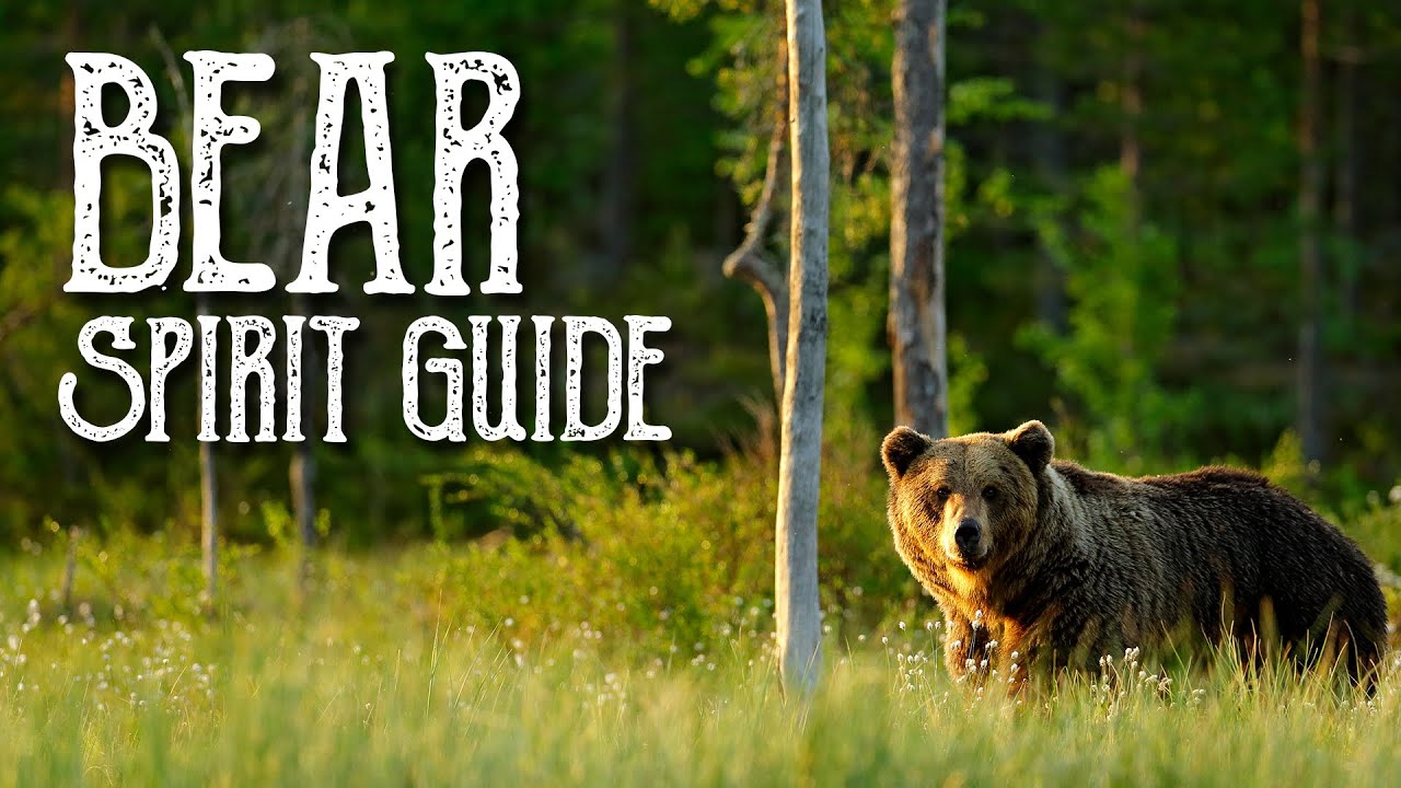Bear Spirit Guide - Ask the Spirit Guides Oracle - Totem Animal - Power Animal - Magical Crafting