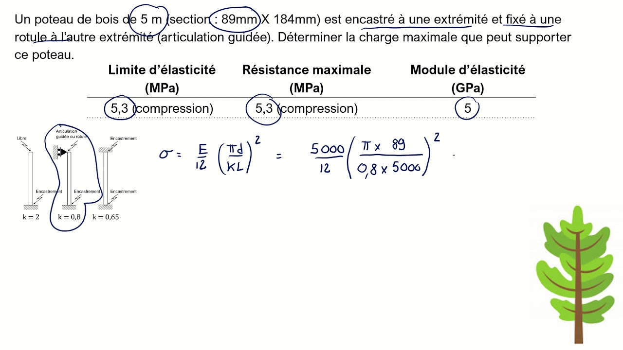 Flambage exercice 3
