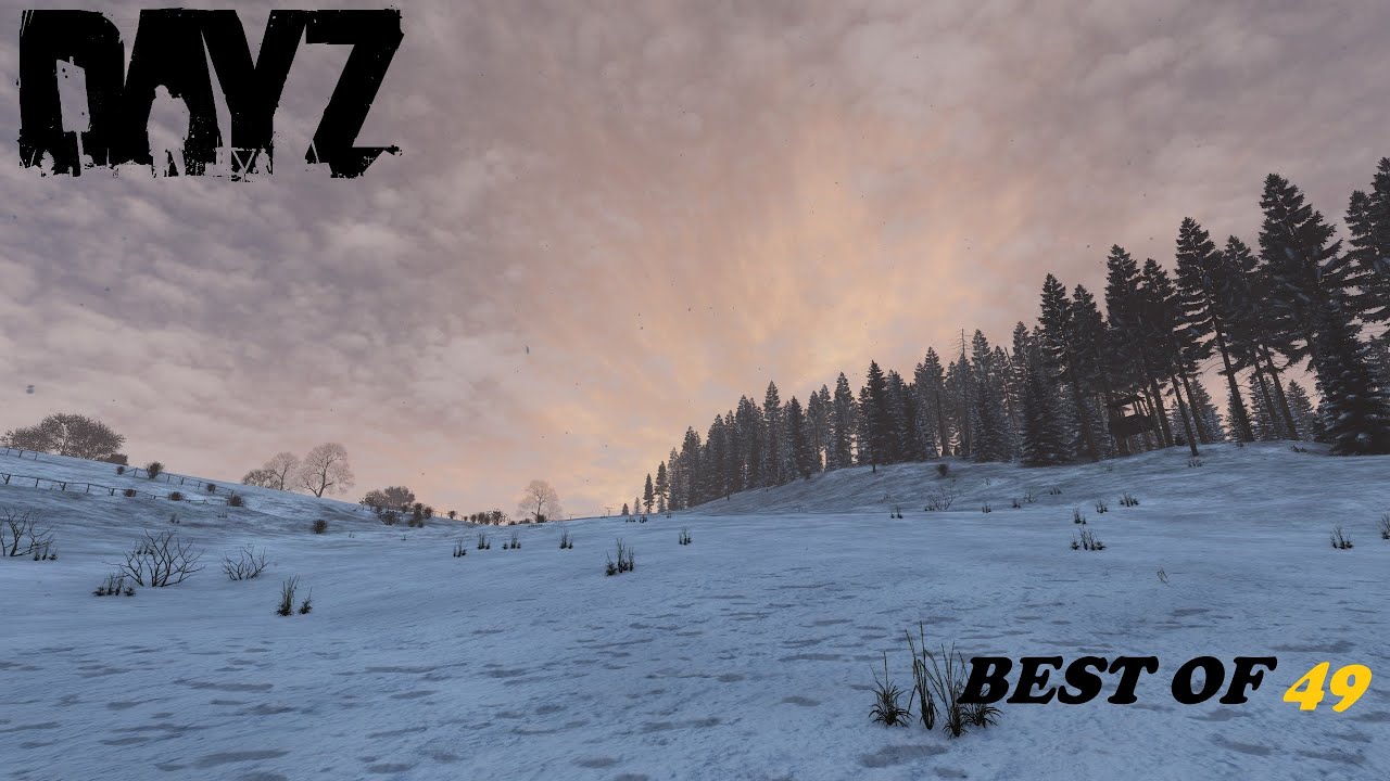 Day-Z -49- Best Of