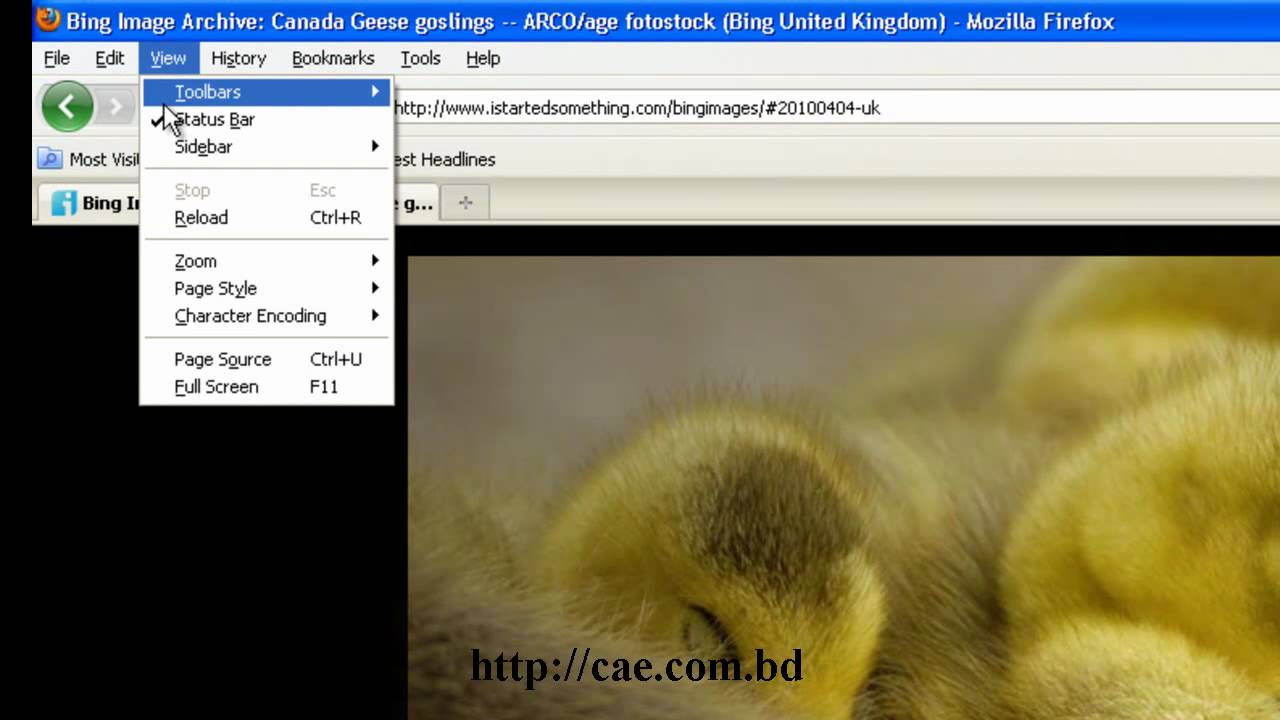 Save Bing's background image as desktop wallpaper