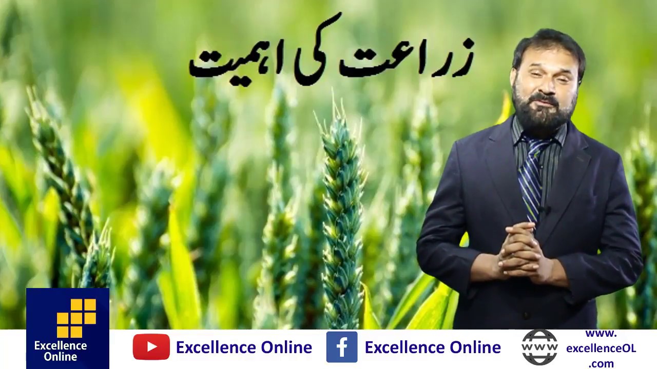 Importance of Agriculture in Pakistan's Economy | Pak Studies XII | Sir Nisar Sheikh