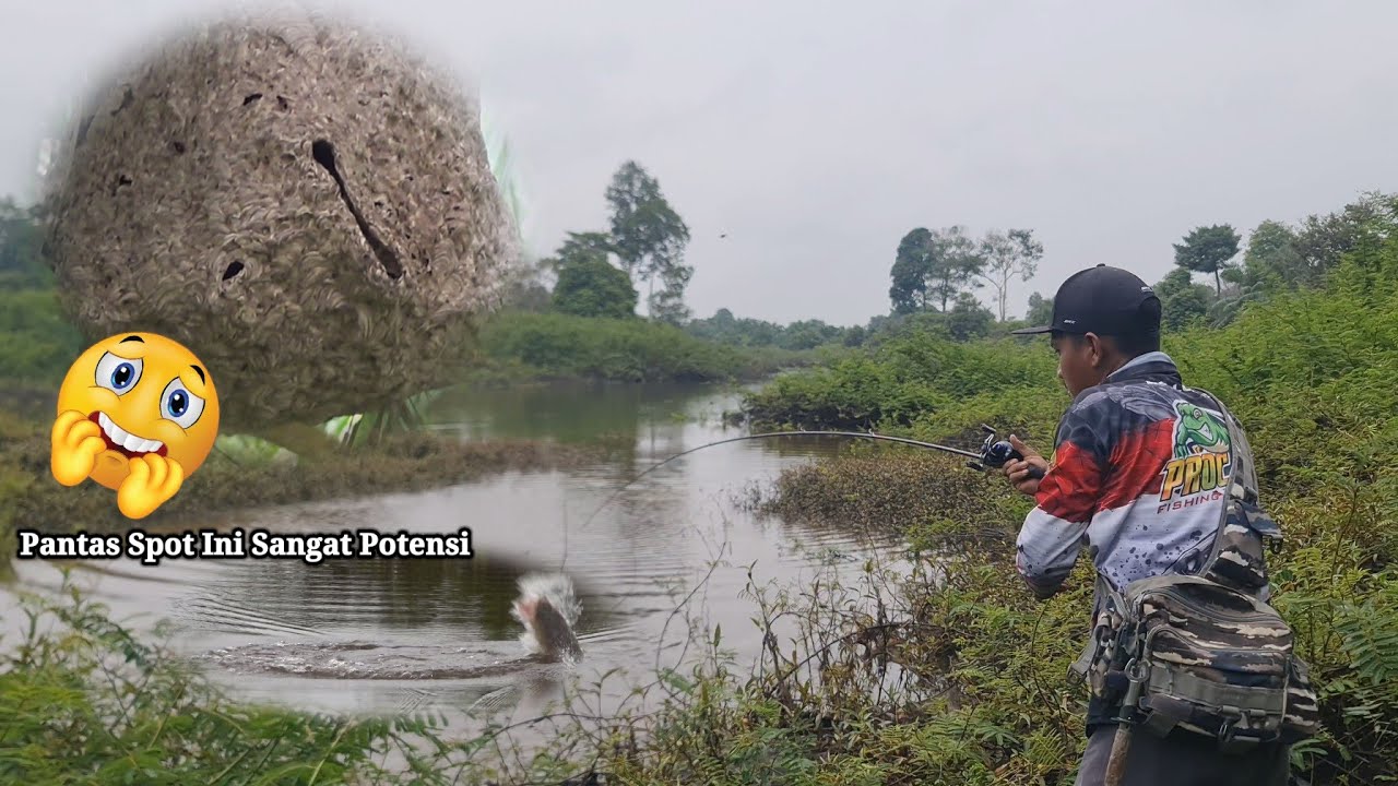 Kegembiraan Yang Hampir Merenggut Nyawa | Menemukan Spot Casting baru Yang Di Huni Tawon kepala