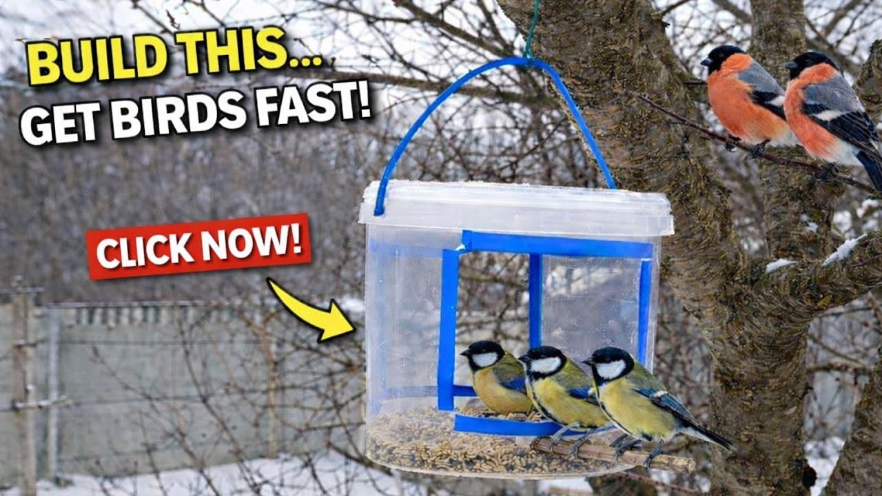 Simple DIY Bird Feeder 🐦That Helps Birds in Winter ❄️